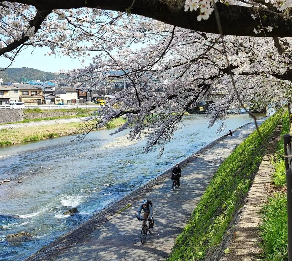 Walker House Kyoto 65 Square Meters Whole Villa Rent