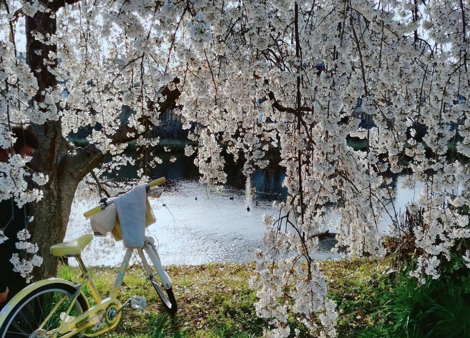 Walker House Kyoto 65 Square Meters Whole Villa Rent Vandrarhem