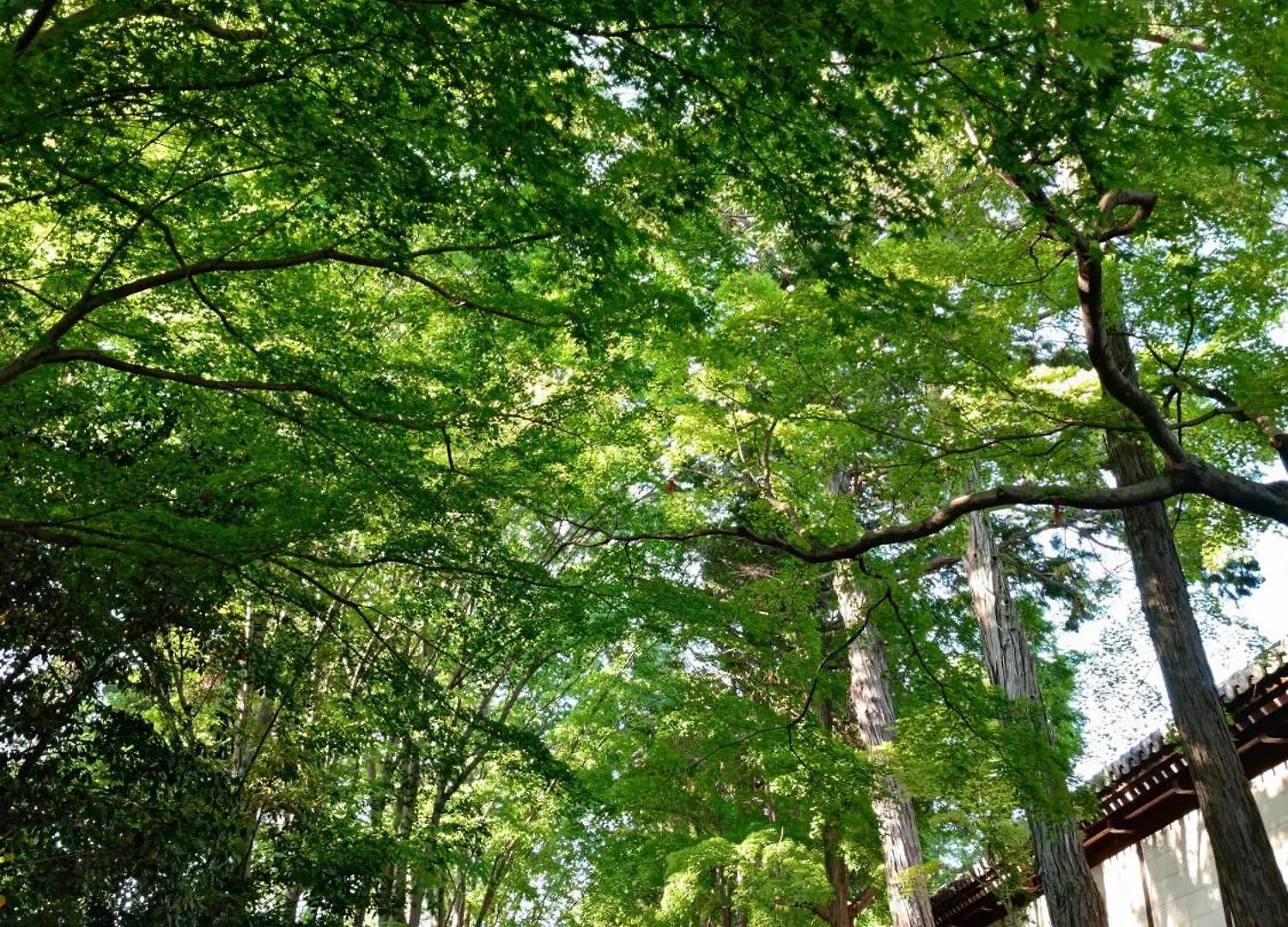 Walker House Kyoto 65 Square Meters Whole Villa Rent Vandrarhem