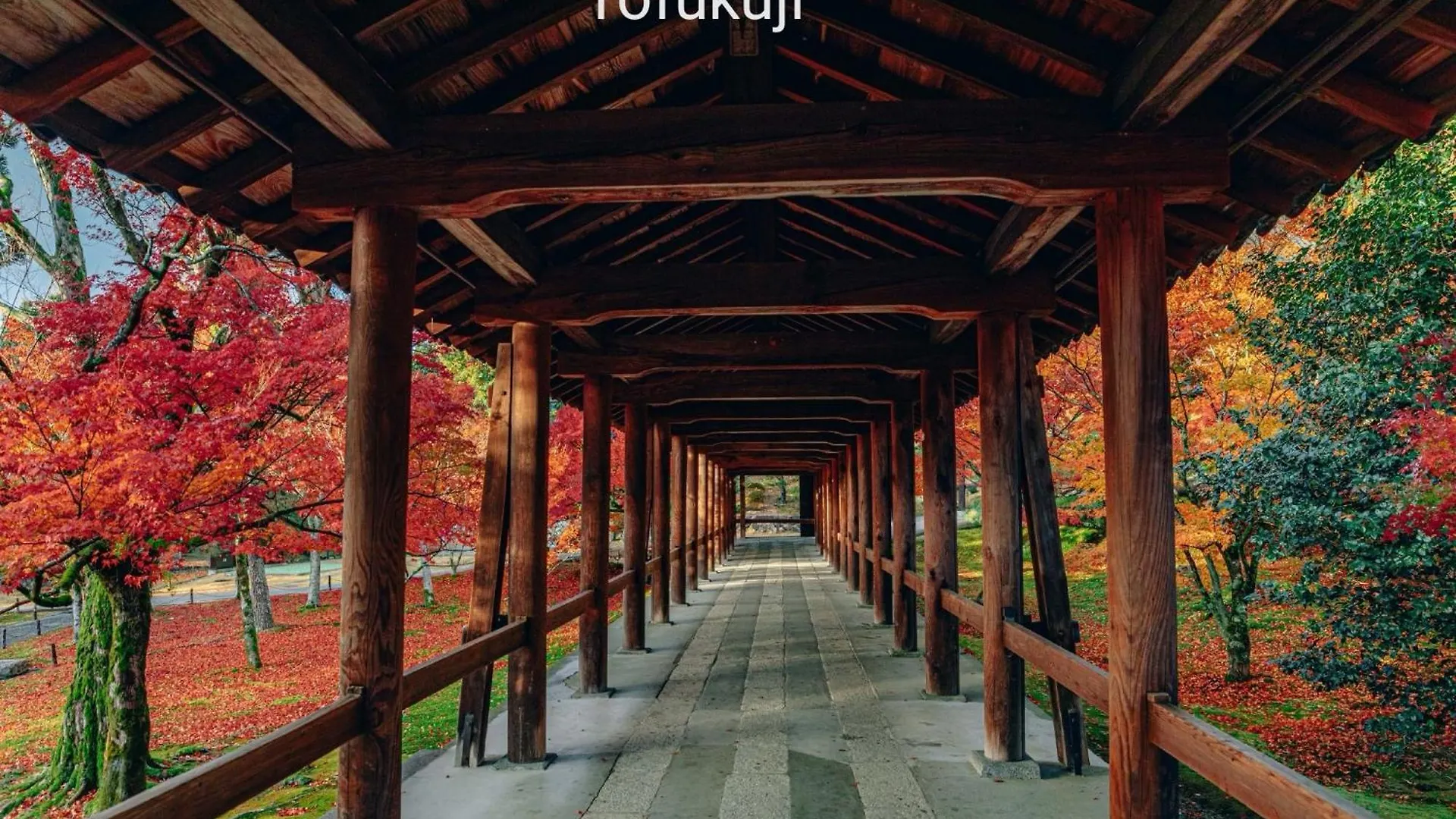 Walker House Kyoto 65 Square Meters Whole Villa Rent 0*,  Япония