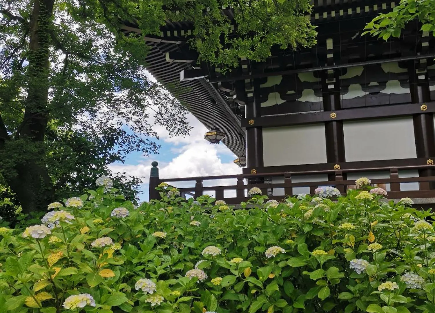 Walker House Kyoto 65 Square Meters Whole Villa Rent Japan