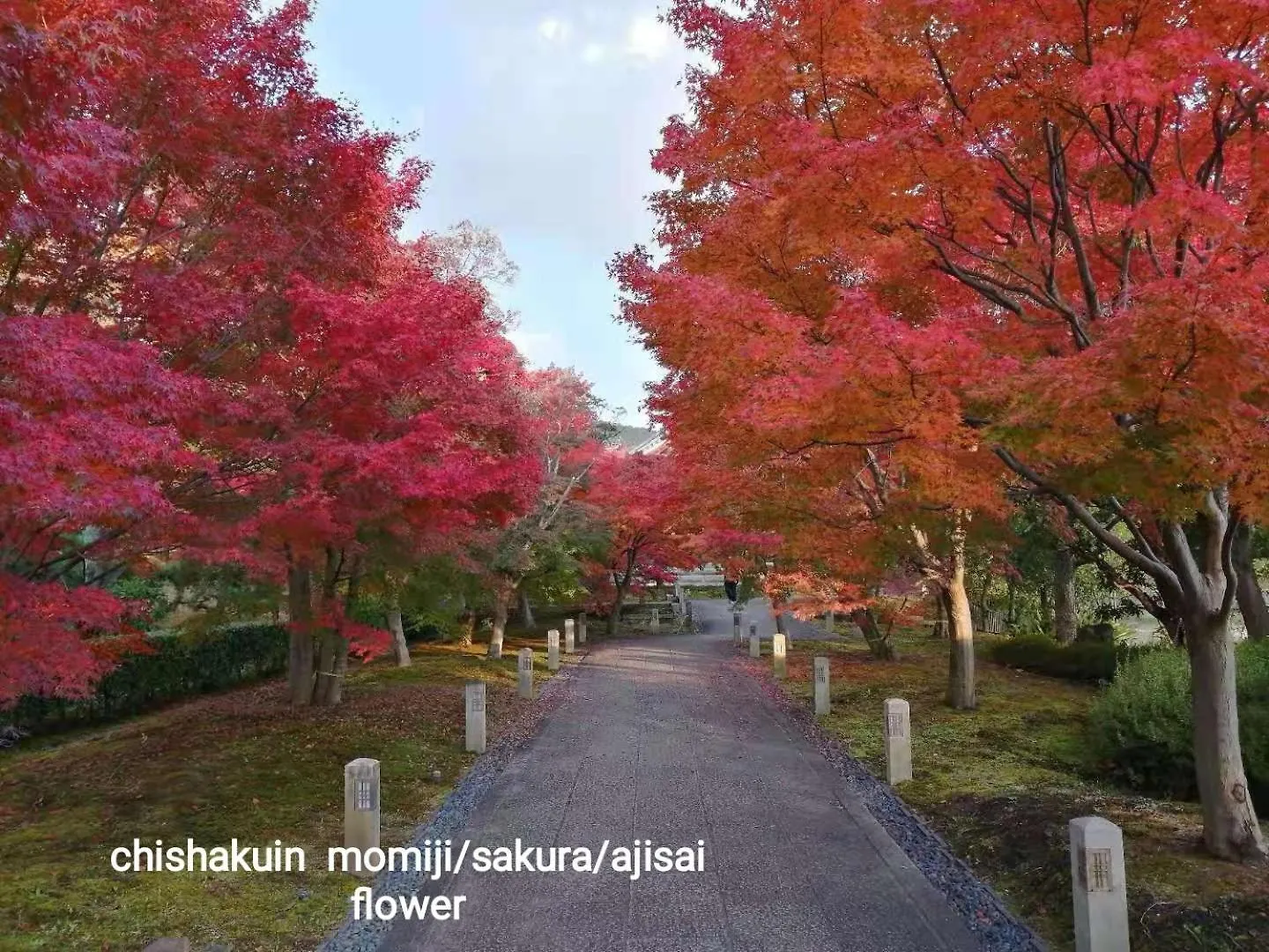 Walker House Kyoto 65 Square Meters Whole Villa Rent Hostel
