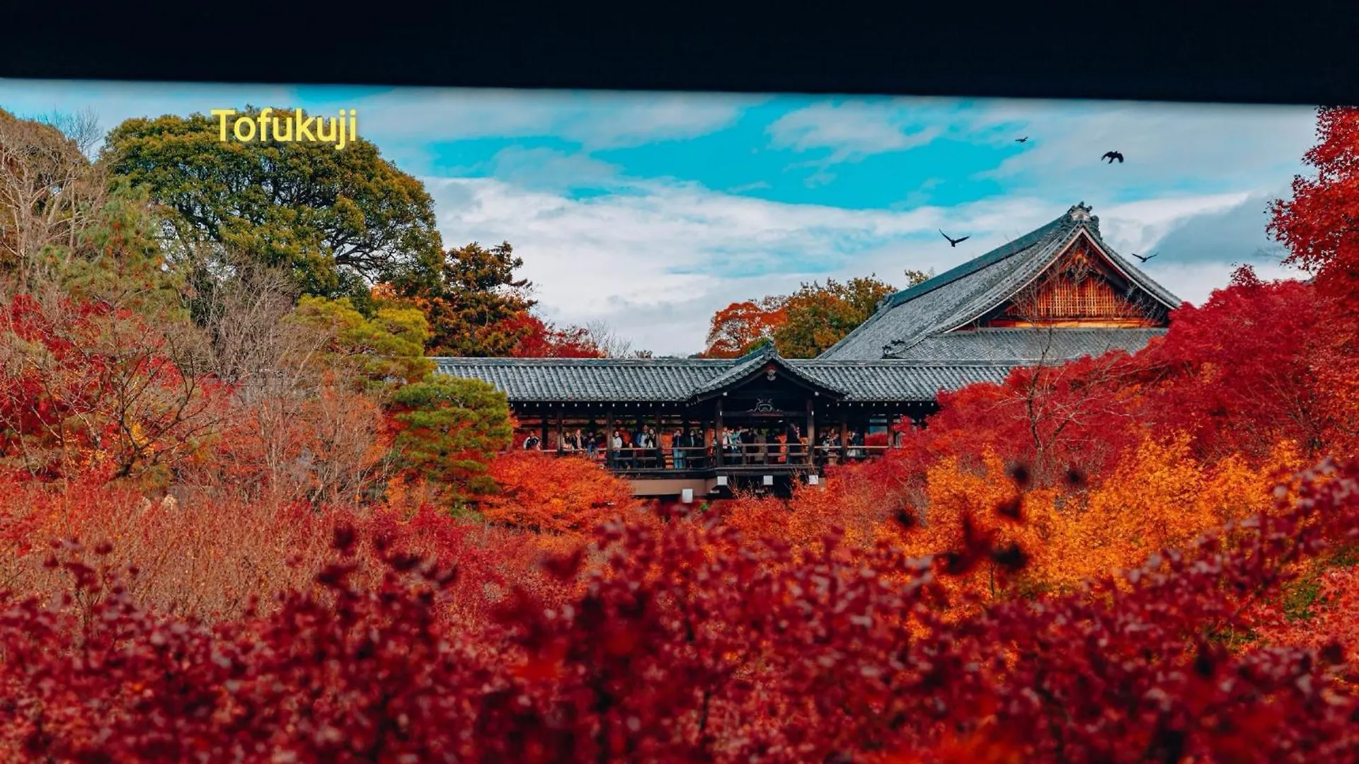 Hostel Walker House Kyoto 65 Square Meters Whole Villa Rent Japan